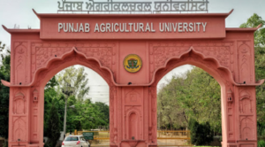 PhD Admission at Punjab Agricultural University.